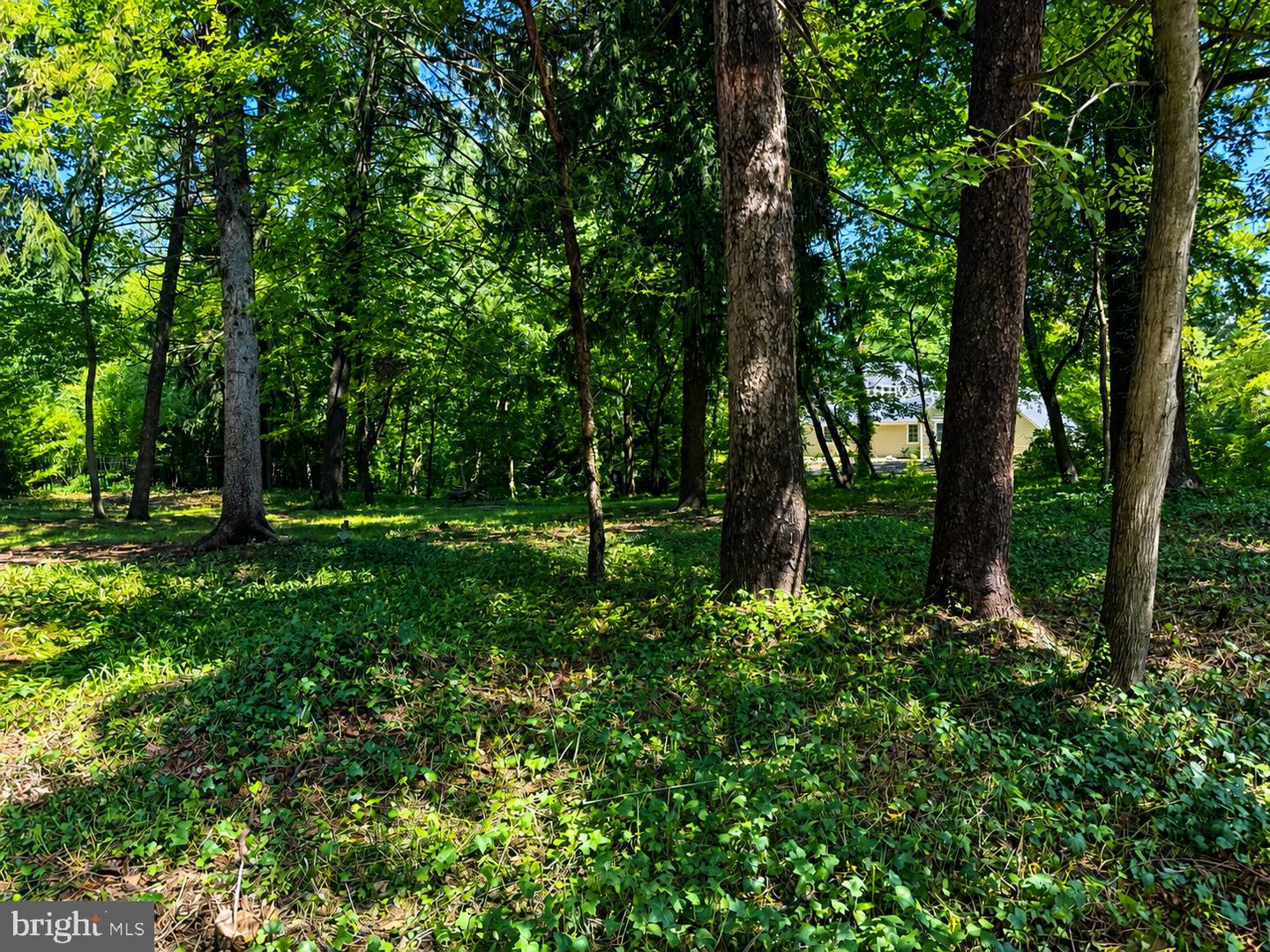 389 Avondale Circle Property Photo 3
