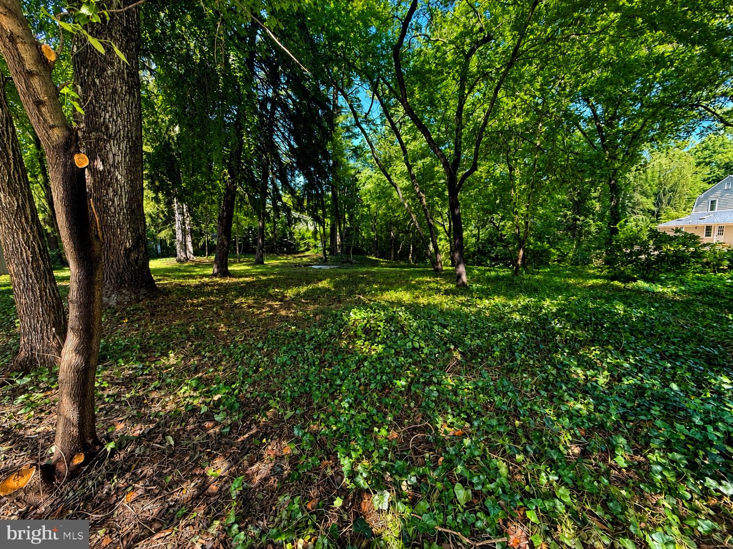 389 Avondale Circle Property Photo 4
