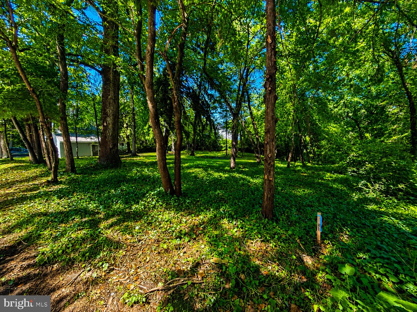 389 Avondale Circle Property Photo 5