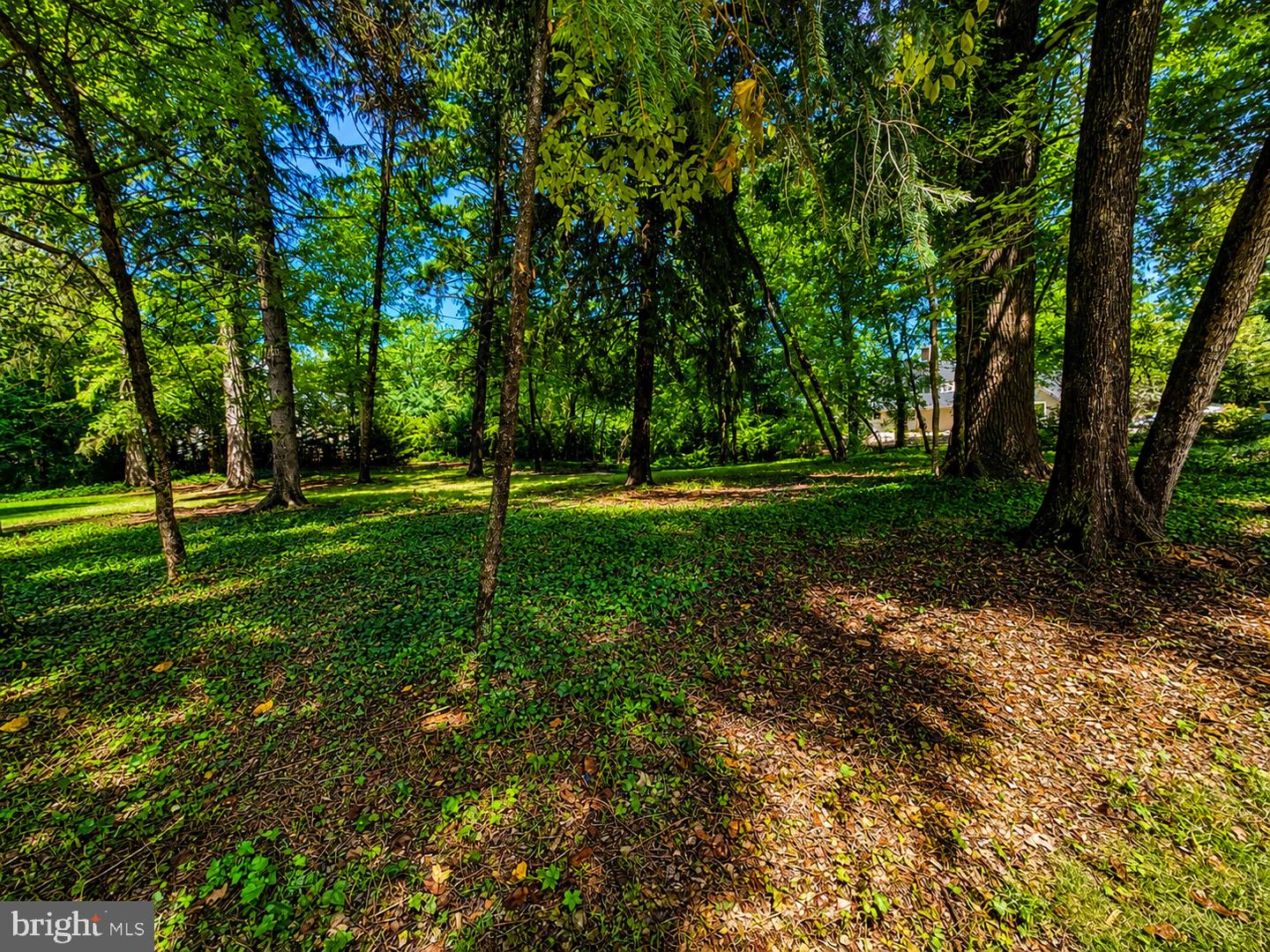389 Avondale Circle Property Photo 6