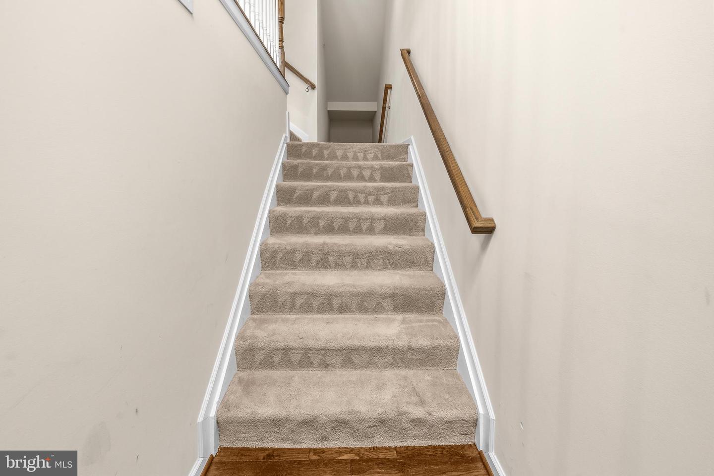 1006 Red Clover Rd Property Photo 5