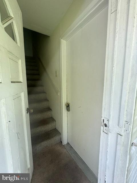 1276 Pekin Rd Property Photo 33