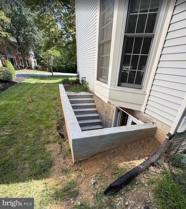 3522 Forest Haven Dr #basement Property Photo 12