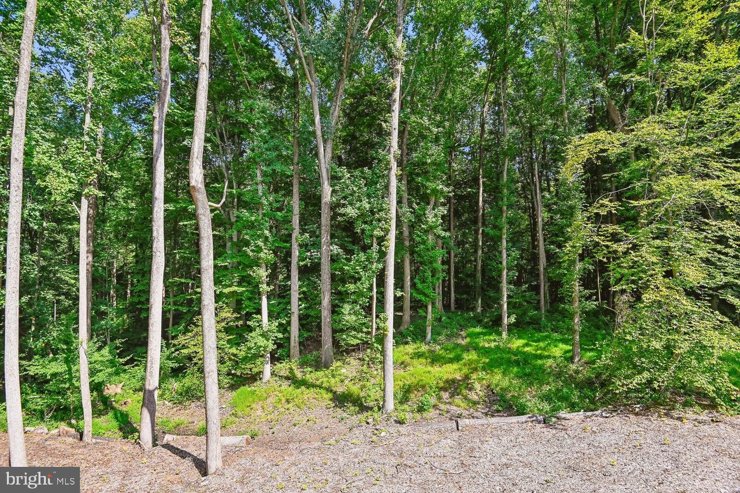 1178 Gumbottom Rd Property Photo 80