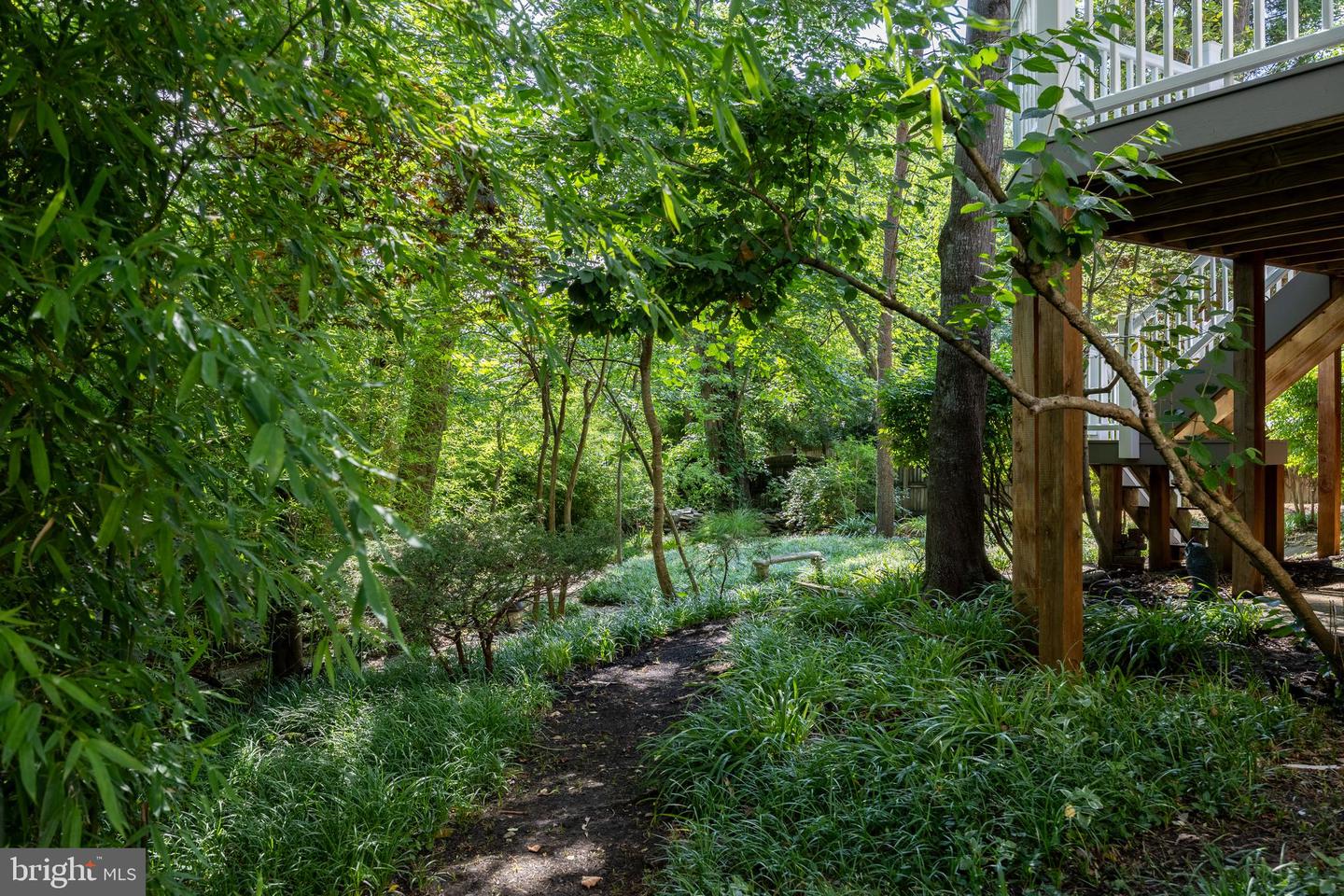 221 Spring Race Ct Property Photo 79