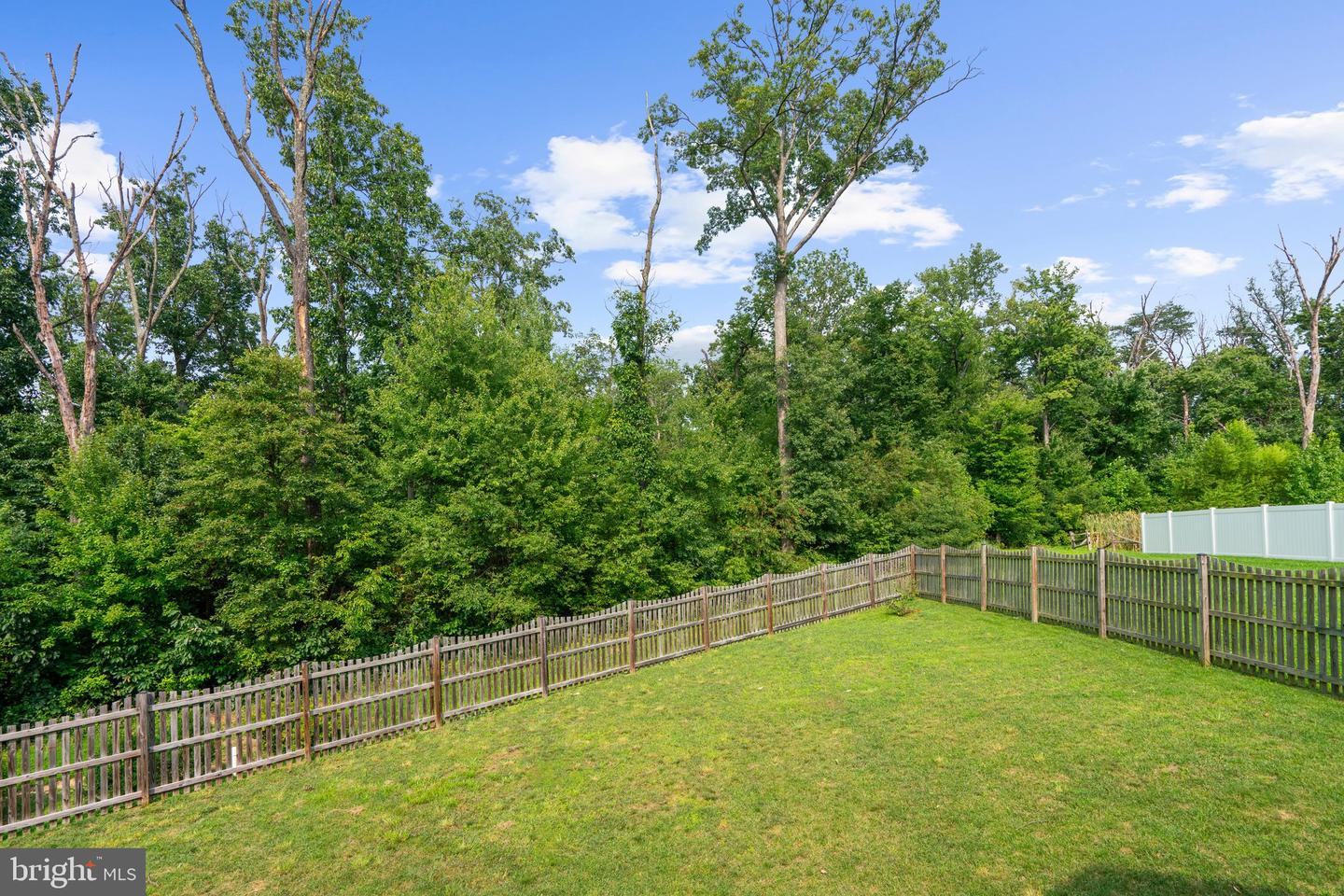 7331 Elbridge Ct Property Photo 47