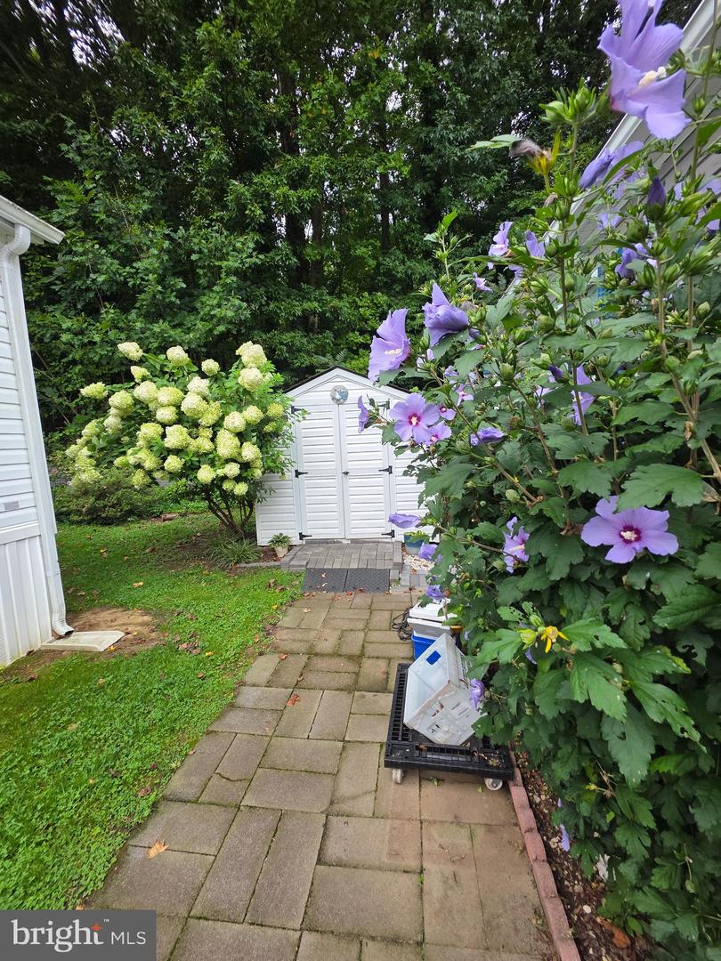 74 Edward Ln Property Photo 4