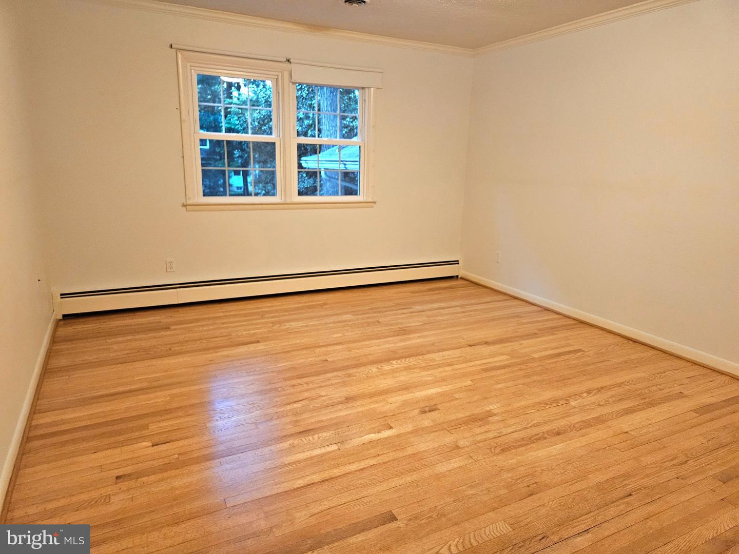 212 Oak Ave Property Photo 21