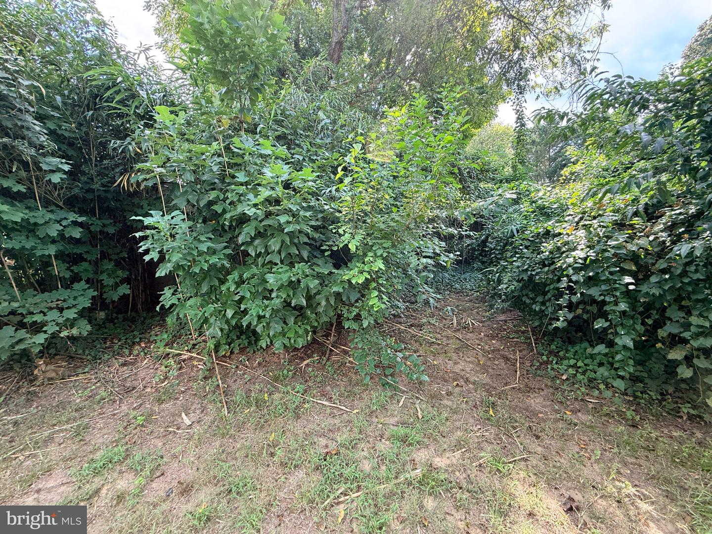 315 Magothy Rd Property Photo 20