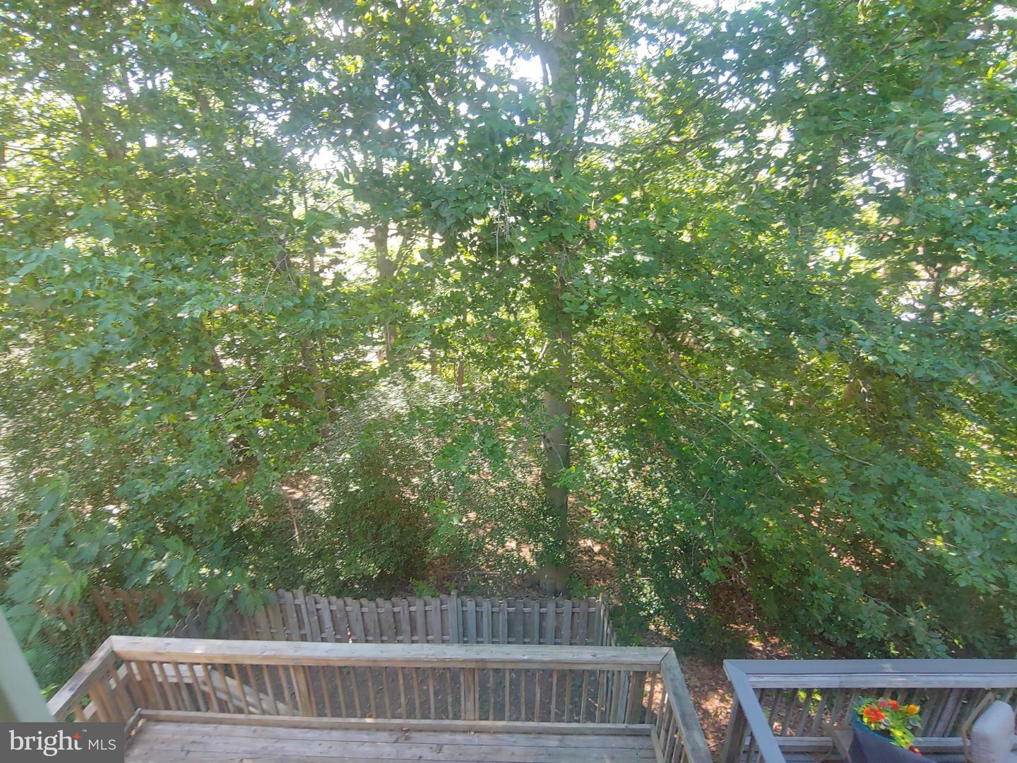 2665 Worrell Ct Property Photo 19