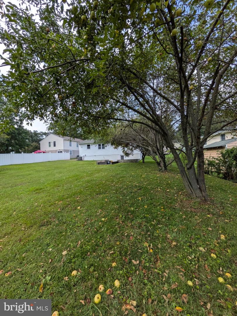 111 Maple Ave Property Photo 33