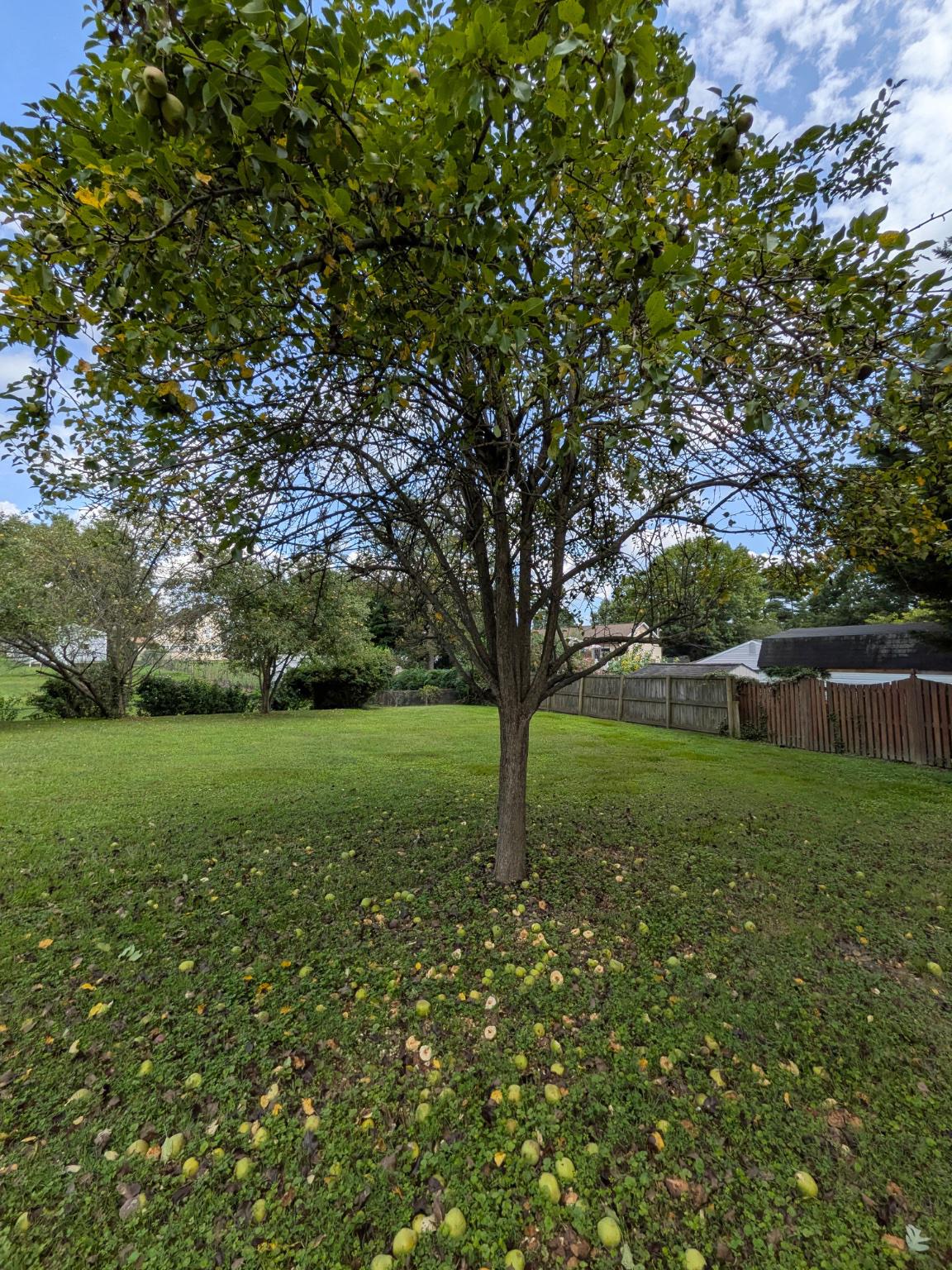 111 Maple Ave Property Photo 34