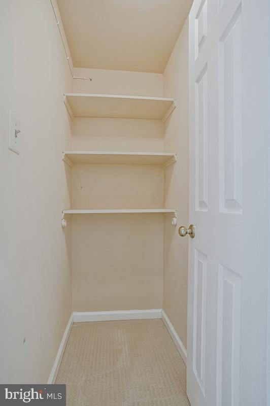 3816 Glebe Meadow Way Property Photo 36