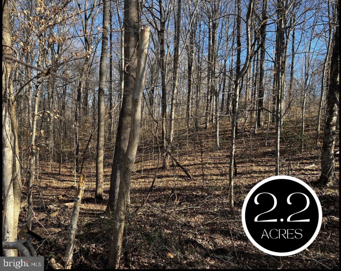 6299 Mckendree Rd Property Photo 1
