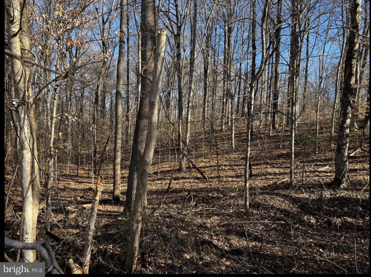 6299 Mckendree Rd Property Photo 3