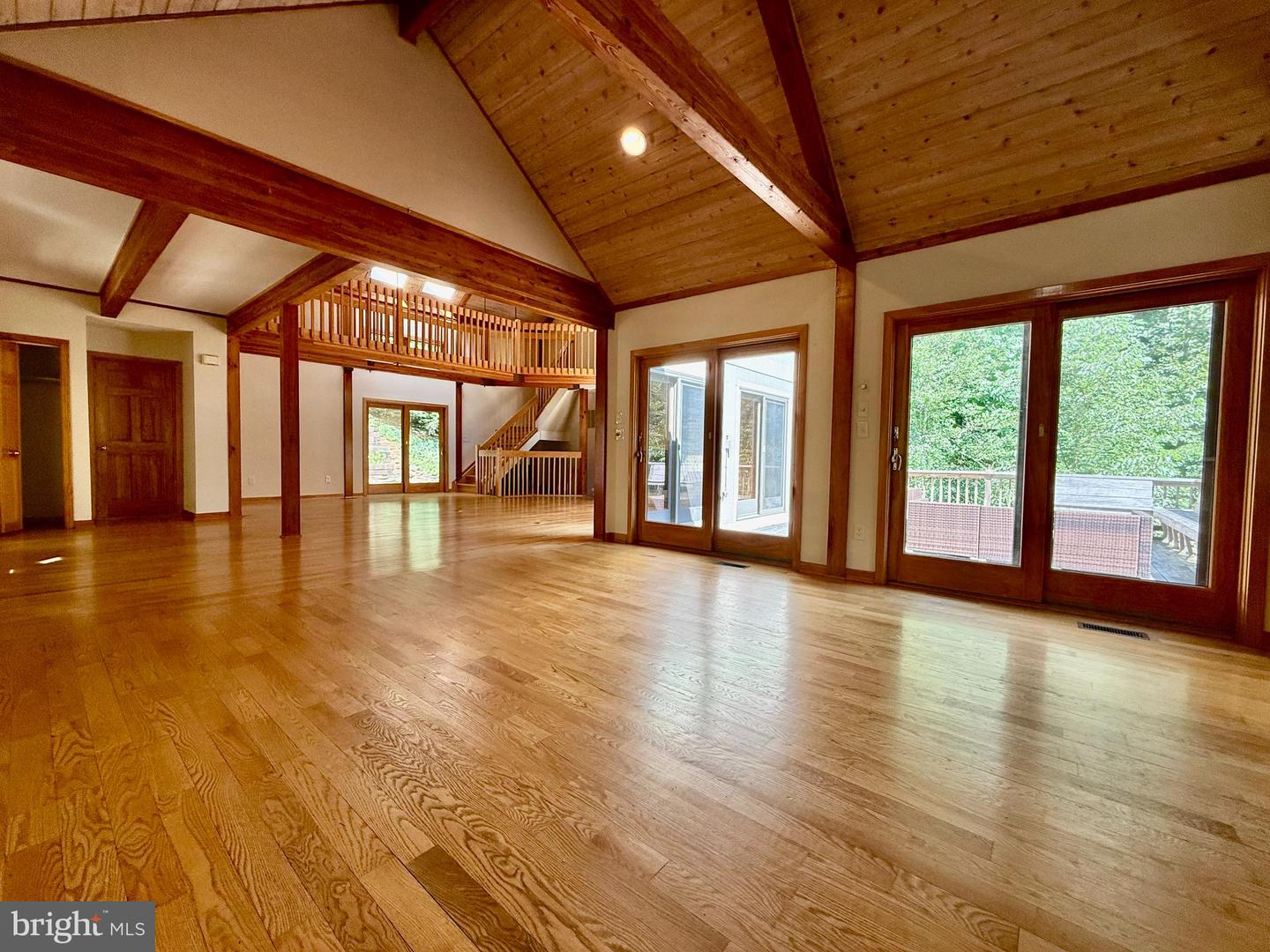 523a Epping Forest Rd Property Photo 3