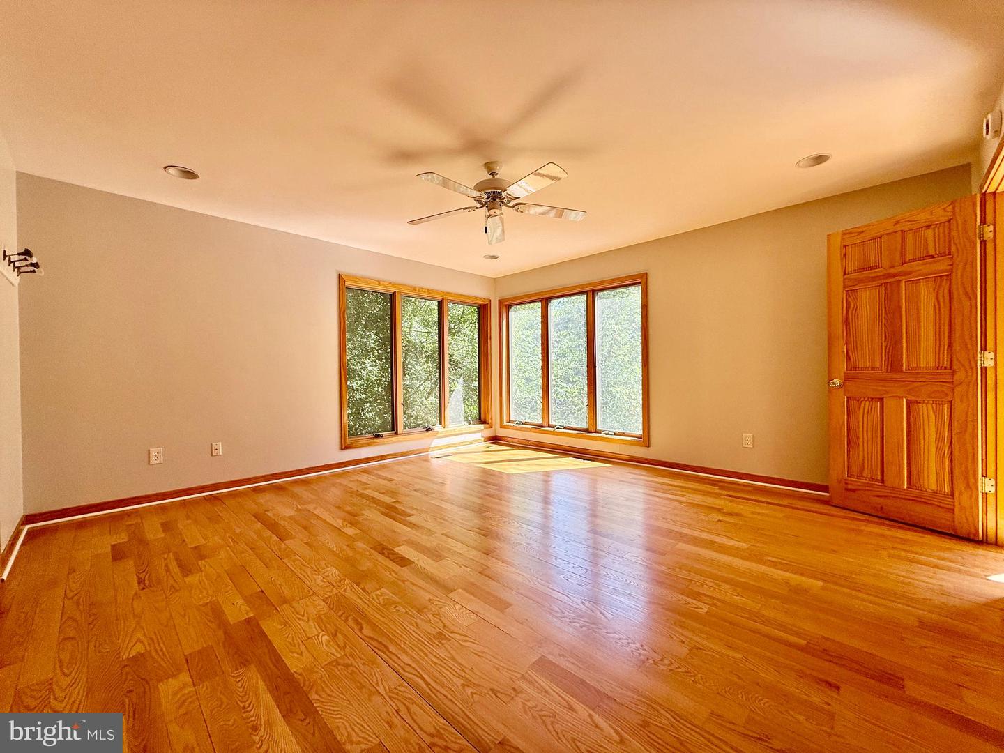523a Epping Forest Rd Property Photo 6