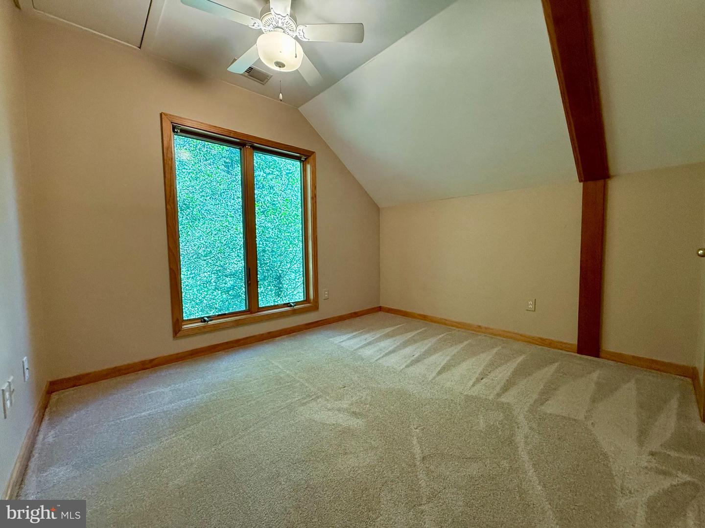 523a Epping Forest Rd Property Photo 15
