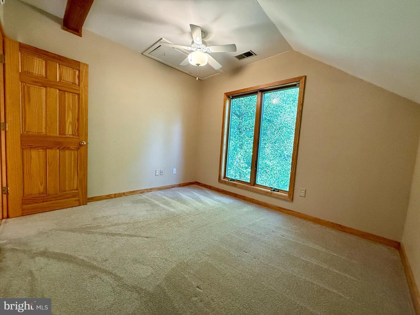 523a Epping Forest Rd Property Photo 16