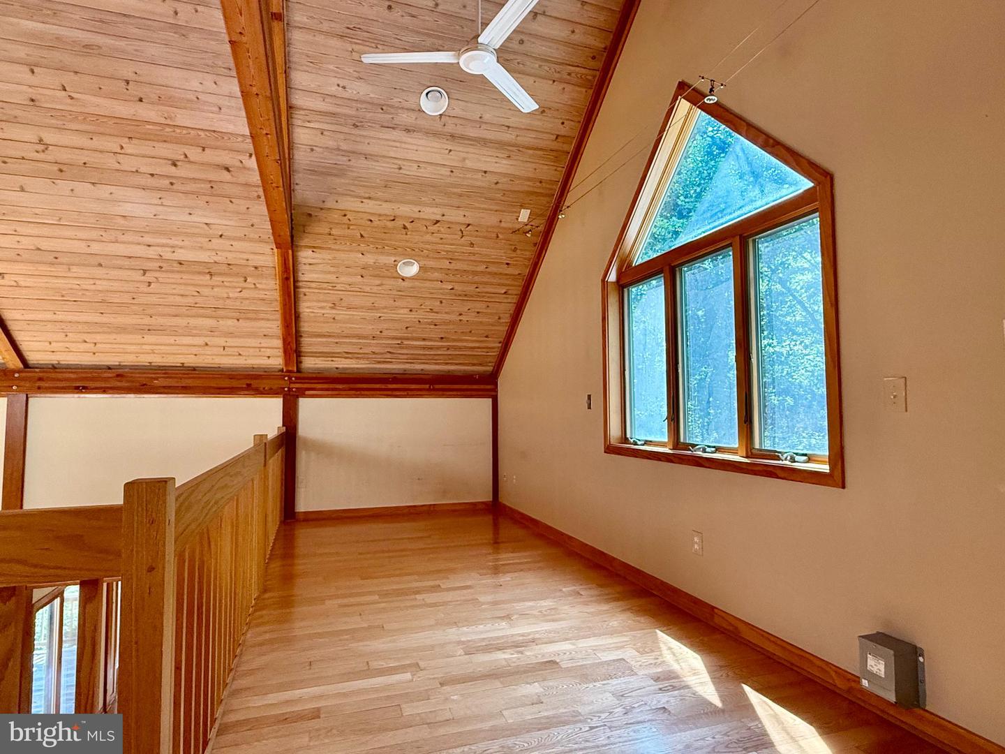 523a Epping Forest Rd Property Photo 19