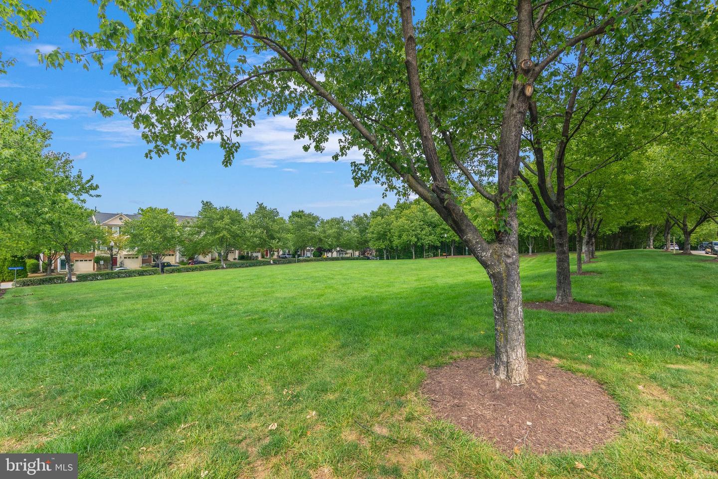 3512 Hammerstone Rd Property Photo 40