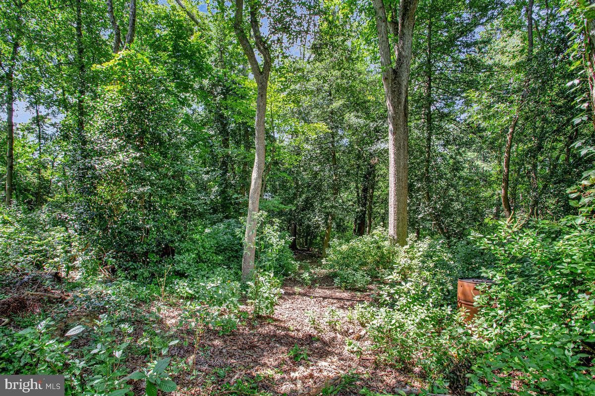 8116 Foxwell Rd Property Photo 41