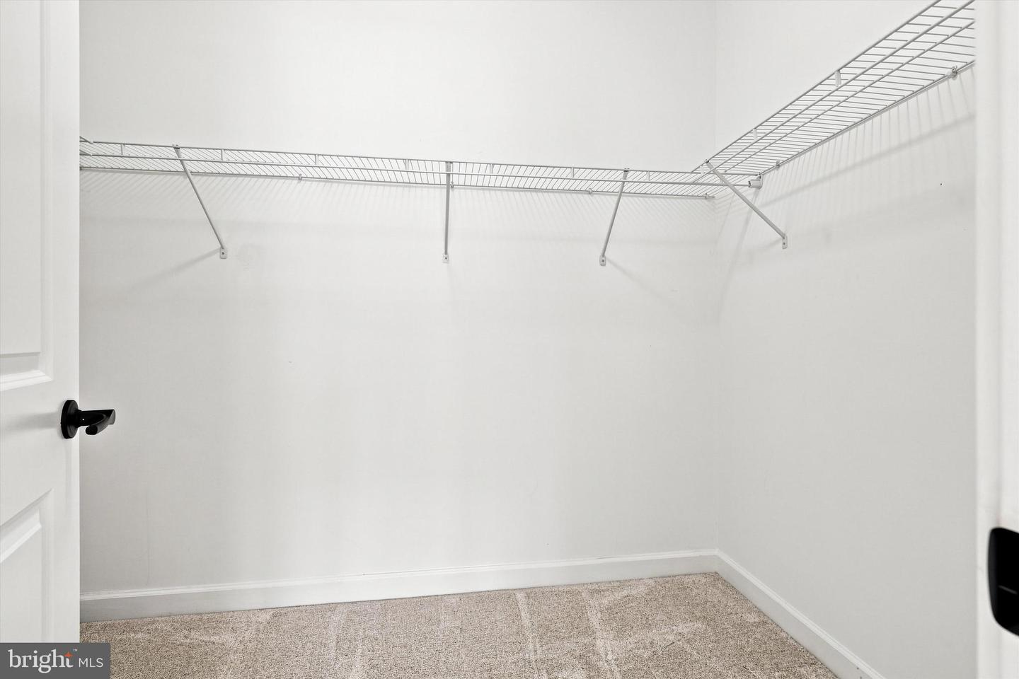 7513 Thicket Run Property Photo 38