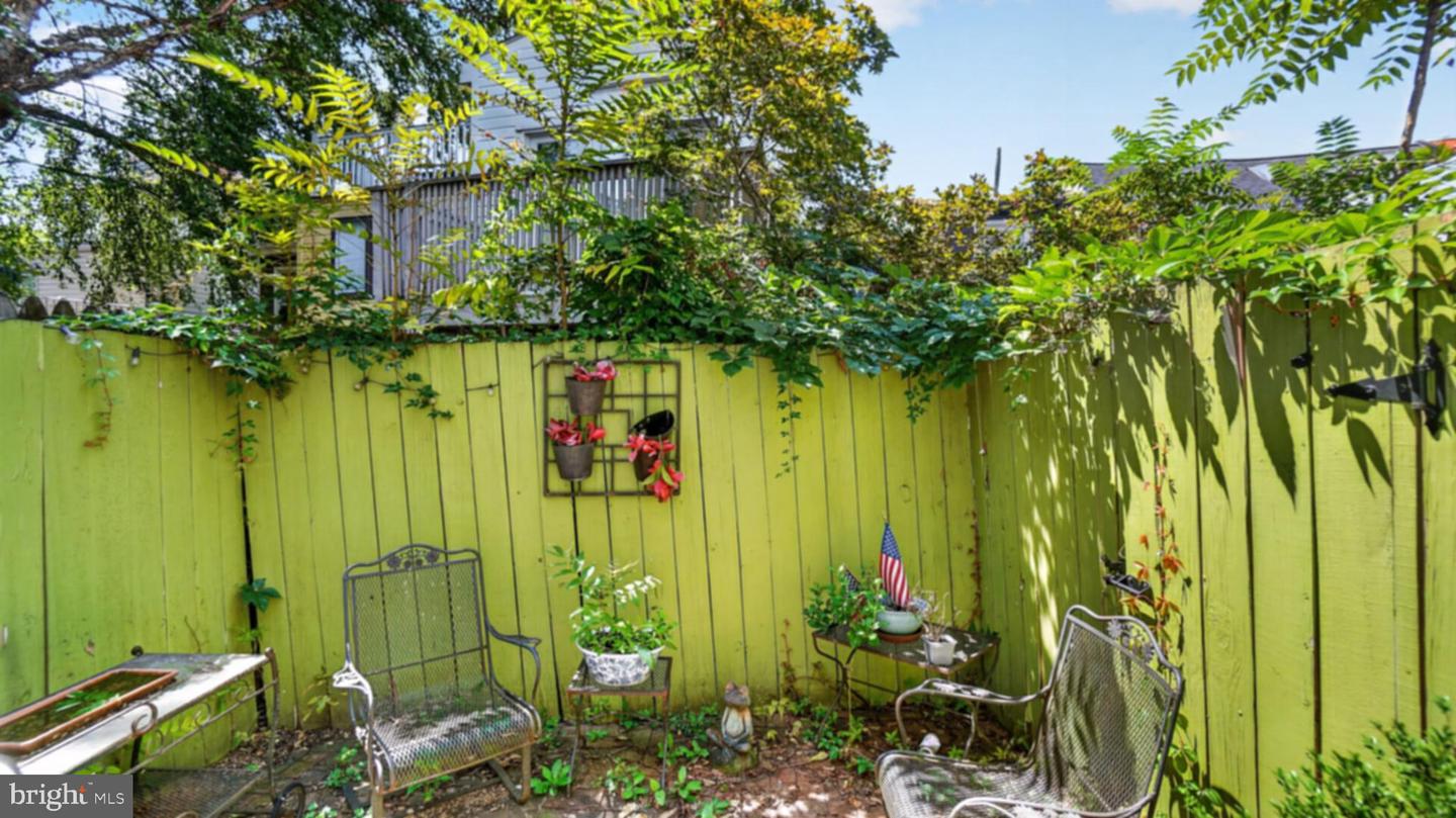35 Pinkney St Property Photo 18