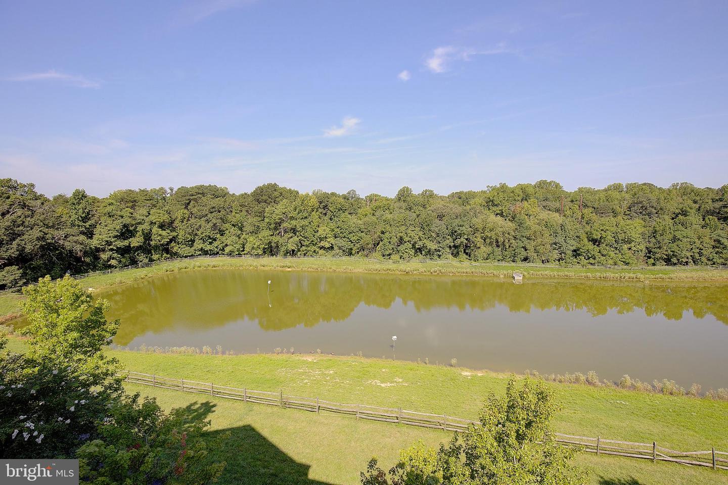 8600 Roaming Ridge Way #404 Property Photo 29