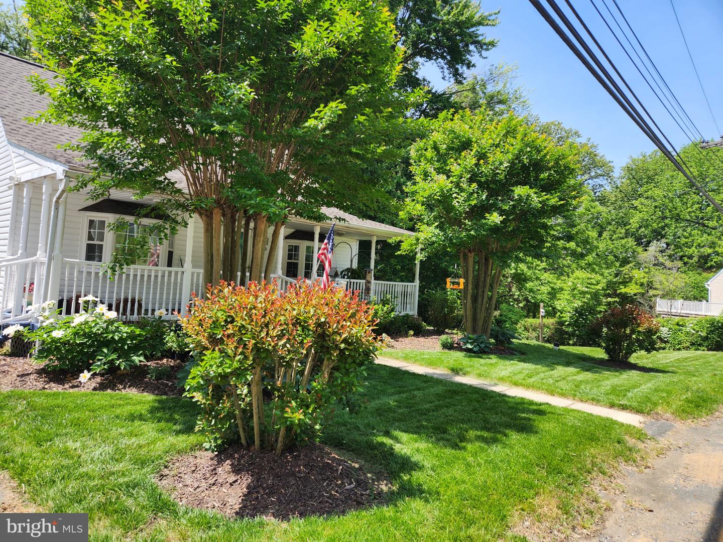 829 Clifton Ave Property Photo 3
