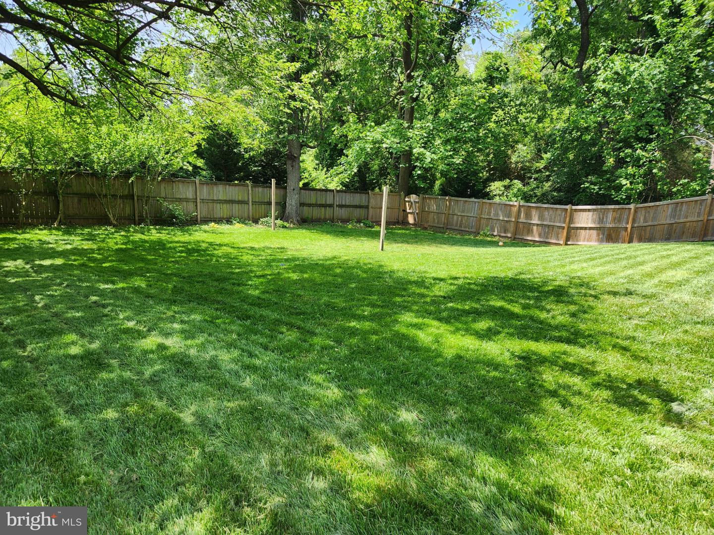 829 Clifton Ave Property Photo 20
