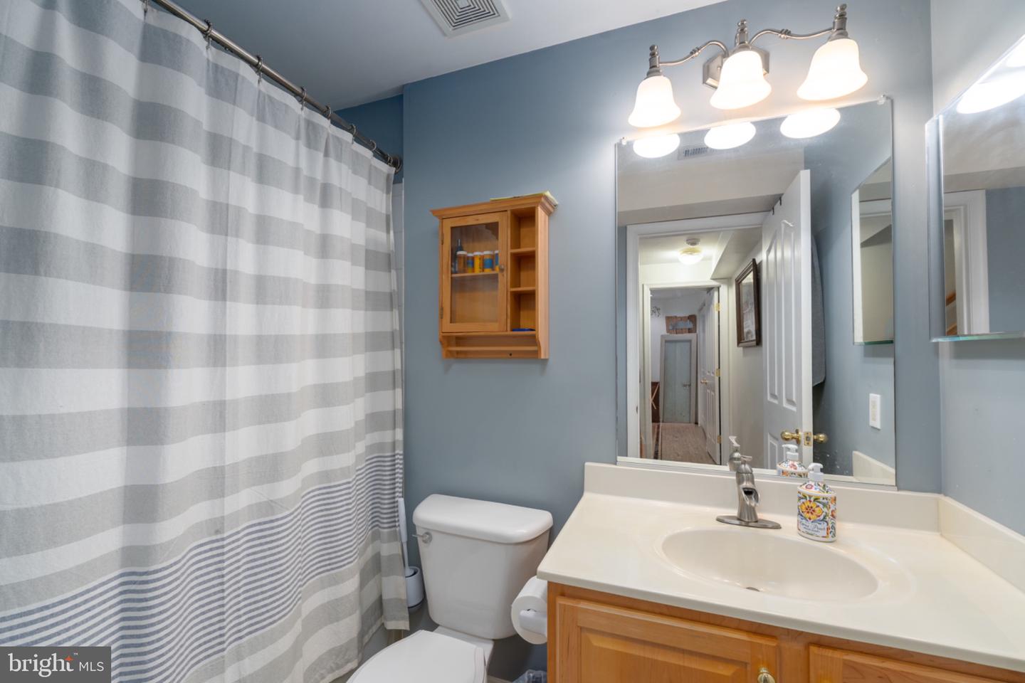 309 Arlington Ct Property Photo 26