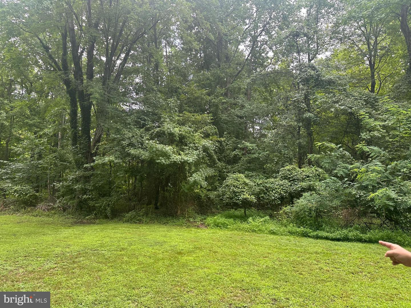 Edgemont St Property Photo 2