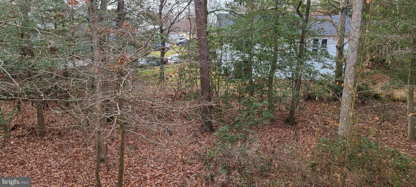 7538 Stonehouse Run Dr Property Photo 13