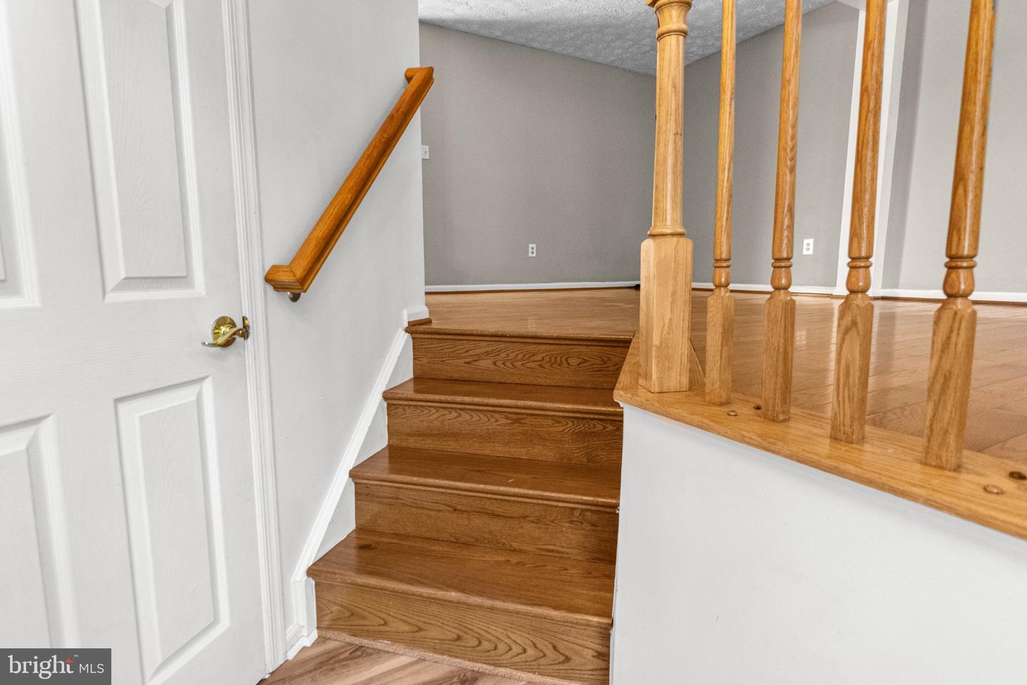 899 Chestnut Cove Dr Property Photo 6
