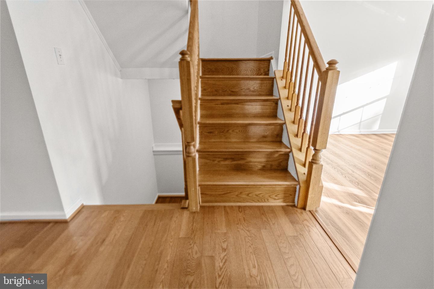 899 Chestnut Cove Dr Property Photo 22