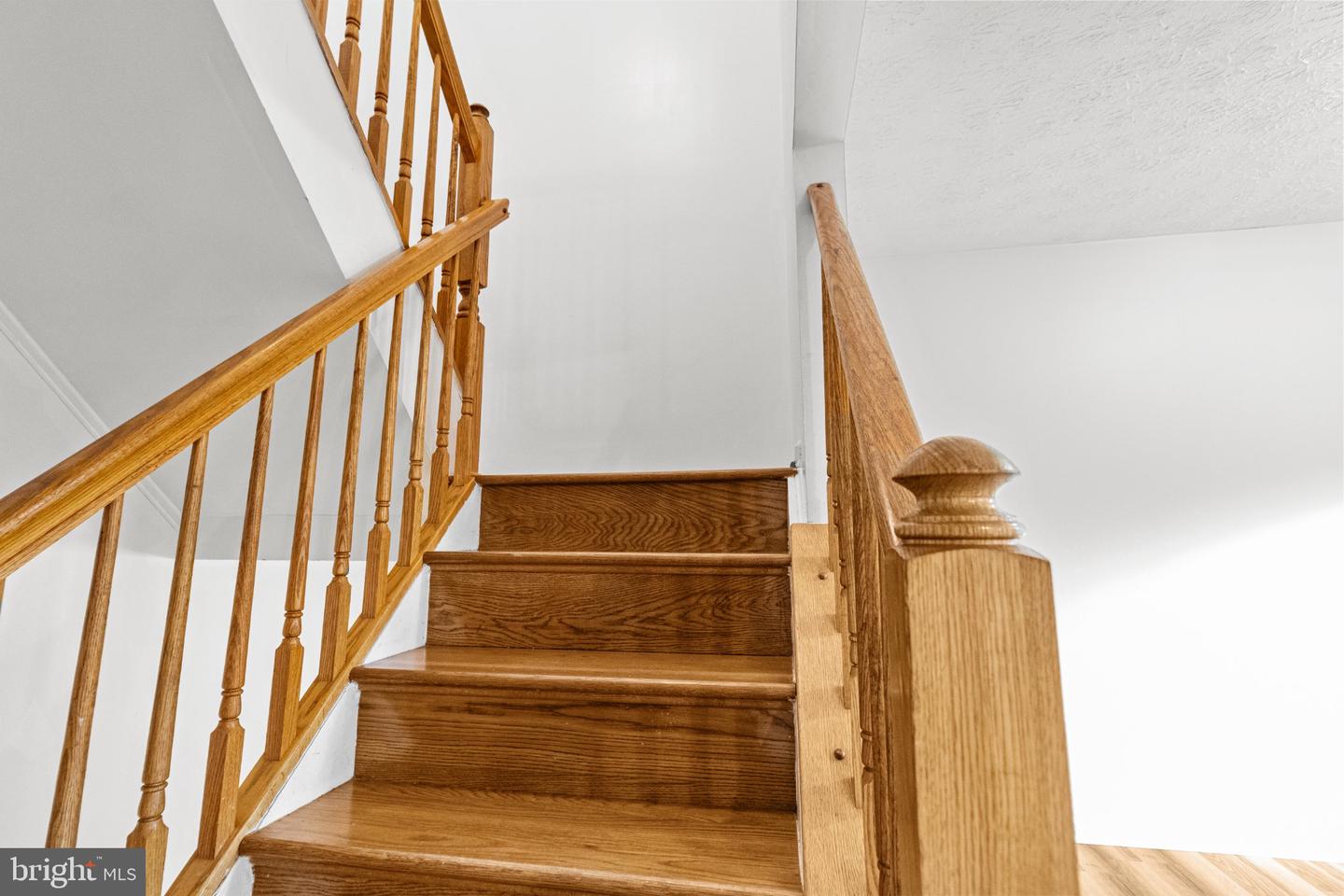 899 Chestnut Cove Dr Property Photo 23