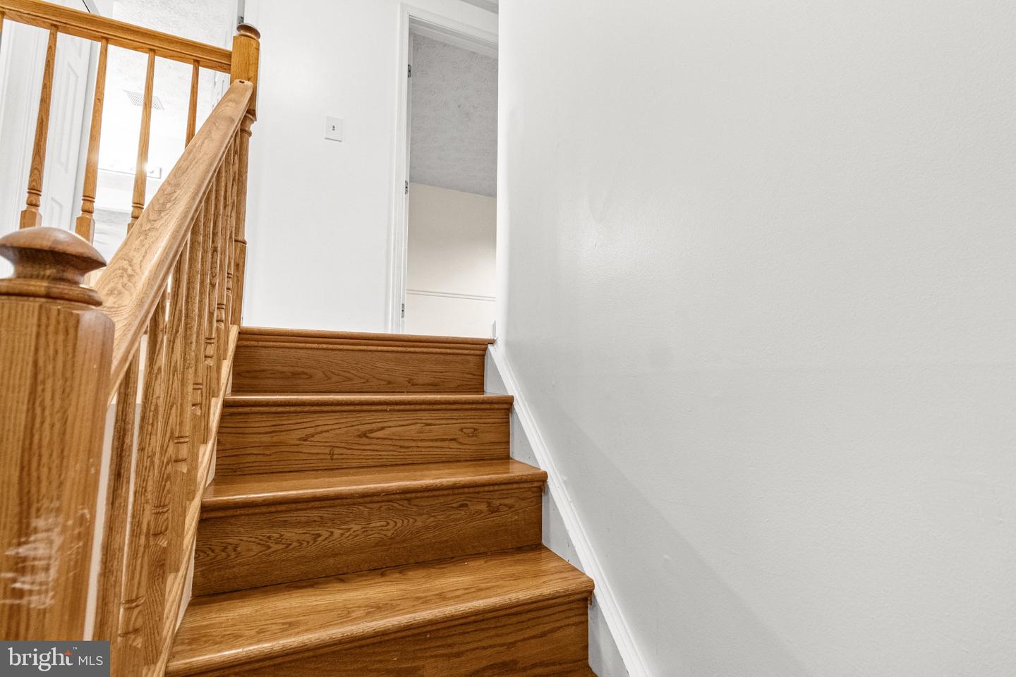 899 Chestnut Cove Dr Property Photo 24