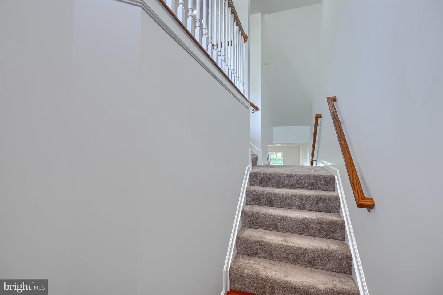 7418 Macon Dr Property Photo 3