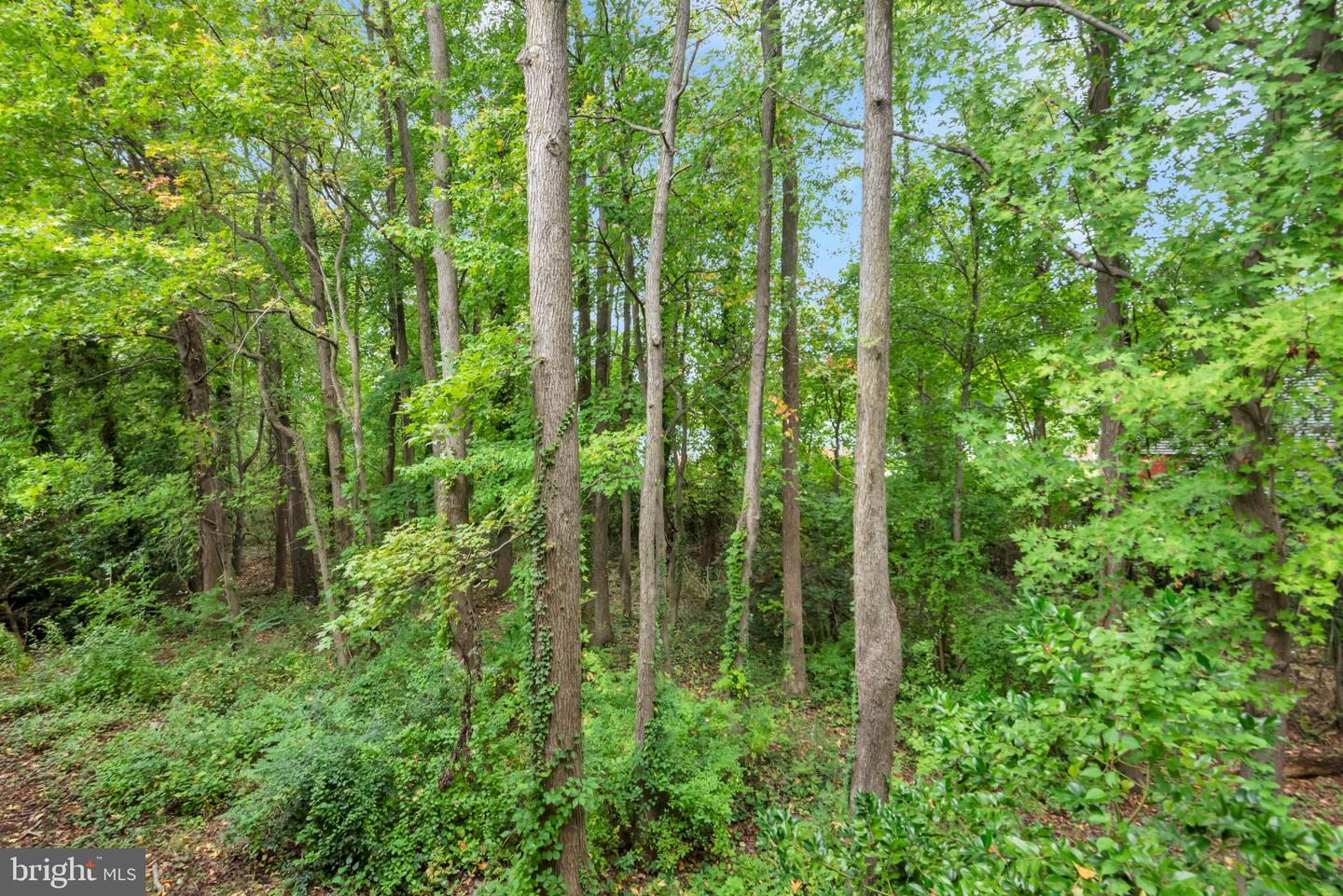 30 Hearthstone Ct #g Property Photo 28