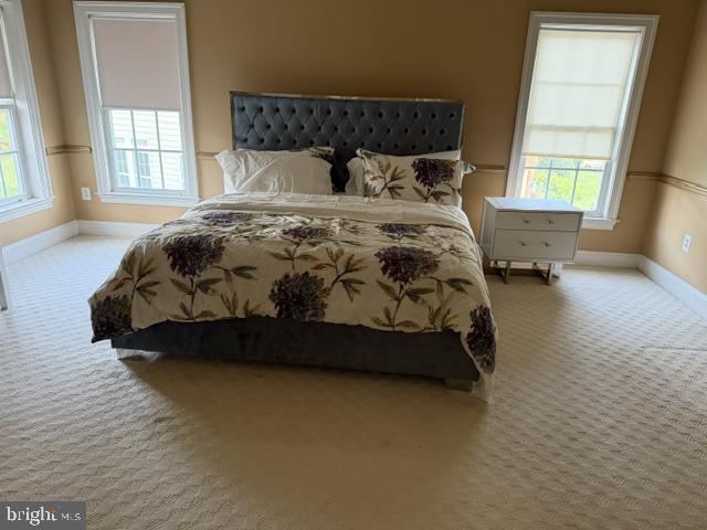 7162 Somerton Ct Property Photo 8