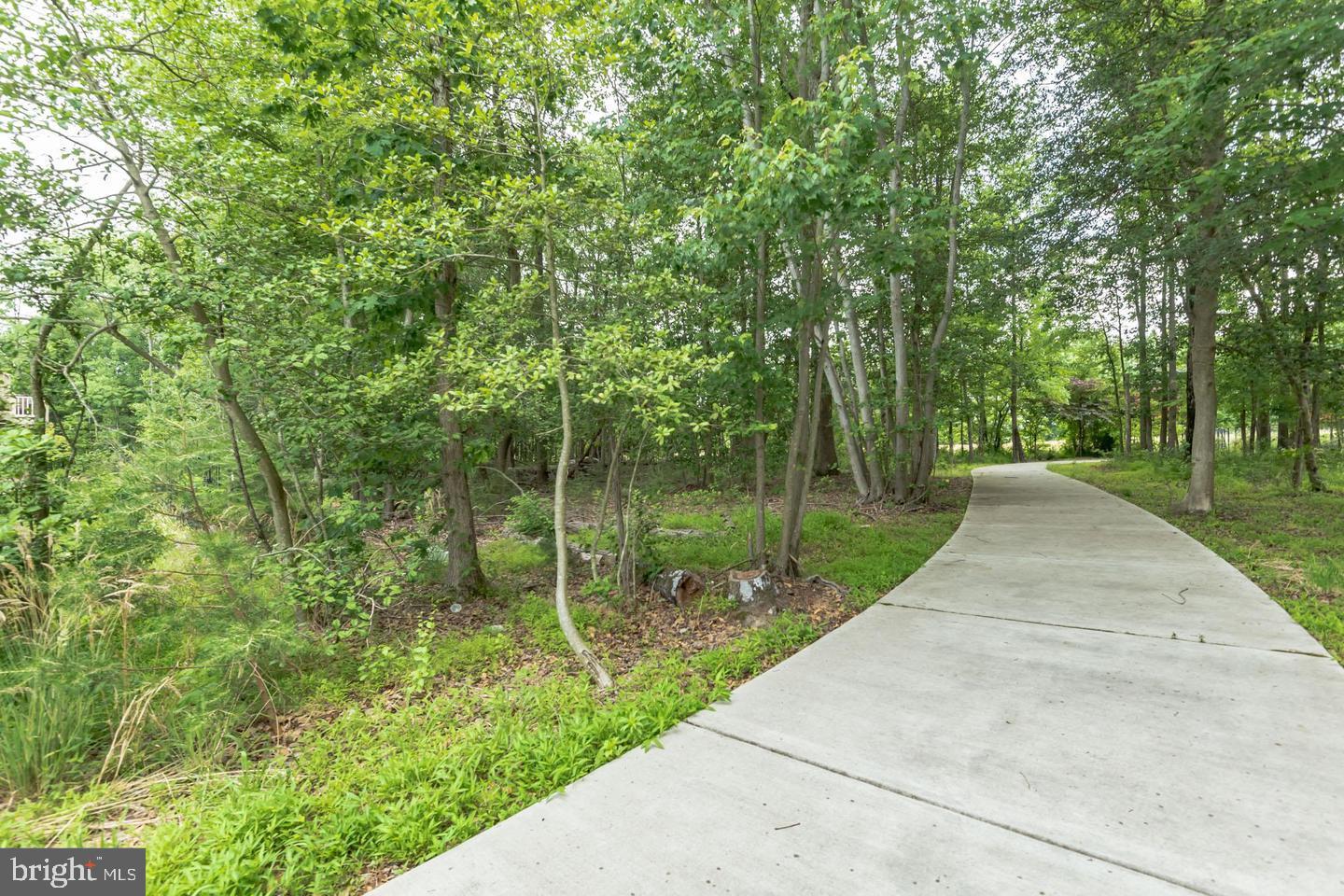 7524 Holly Ridge Dr Property Photo 41