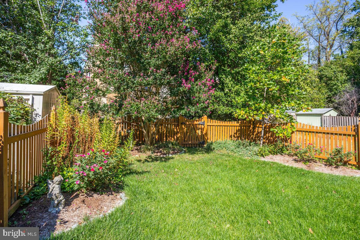 213 Georgetown Property Photo 37