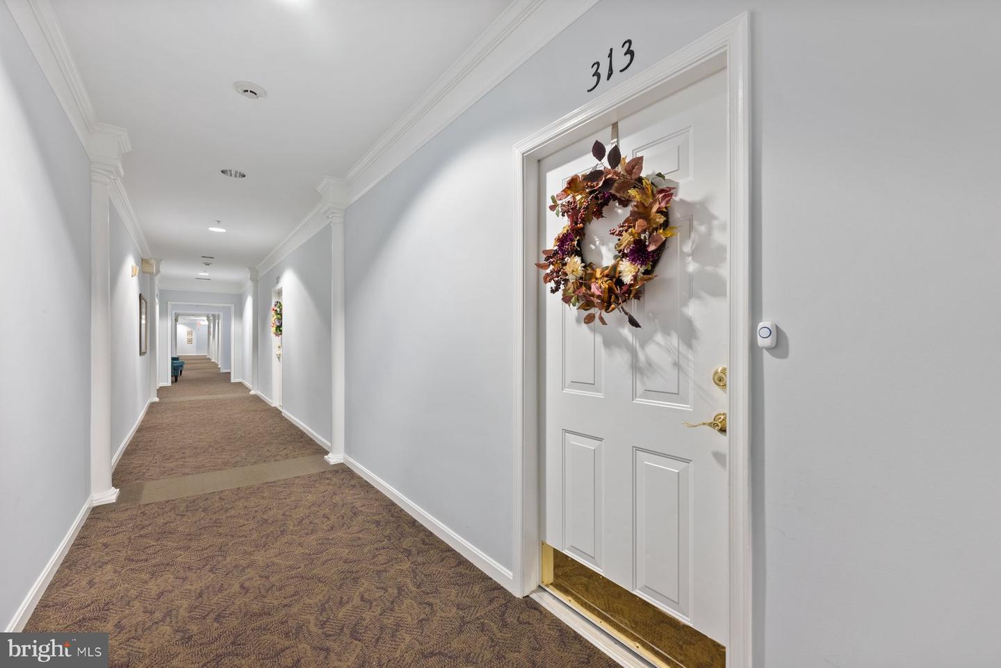 2607 Chapel Lake Dr #313 Property Photo 2