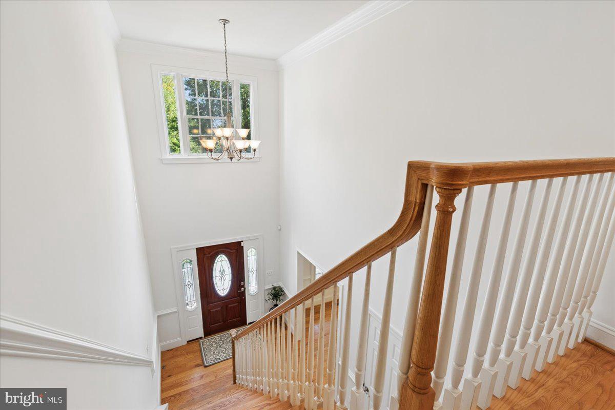 650 Florida Pl Property Photo 33