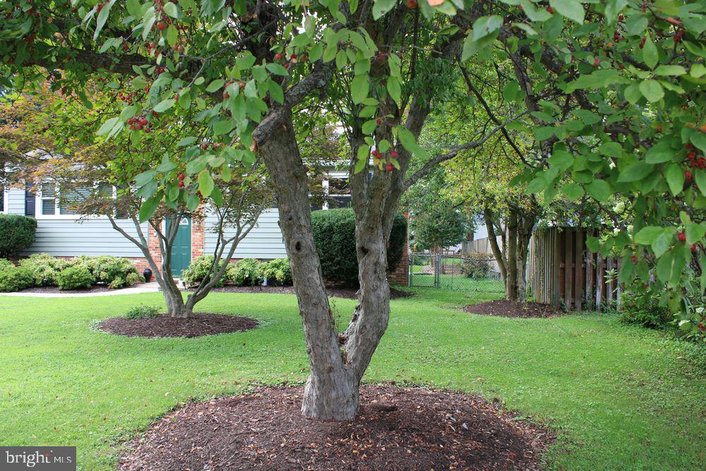 116 Archwood Ave Property Photo 2