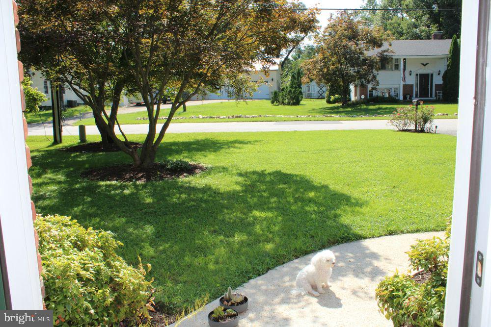 116 Archwood Ave Property Photo 3