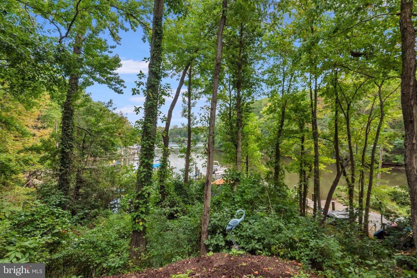 527 Forest Rd Property Photo 18