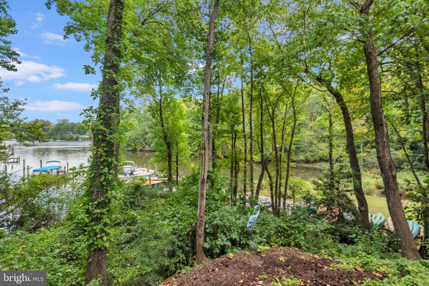 527 Forest Rd Property Photo 19