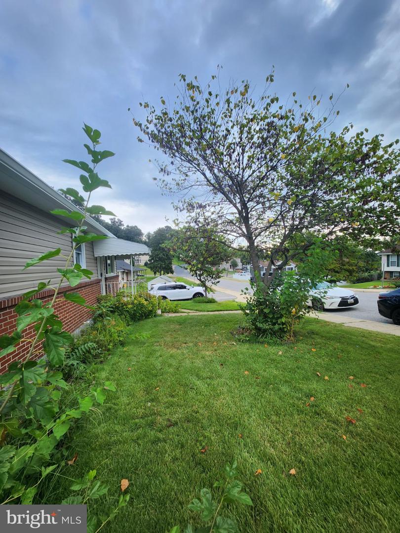 2 Willowdale Ave Property Photo 4